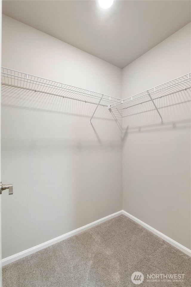 14943 Tyee Dr E, Bonney Lake, WA 98391 - photo 21
