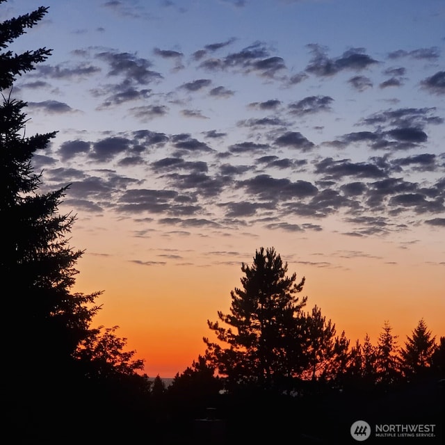 13923 SE 79th Dr, Newcastle, WA 98059 - view of nature at dusk