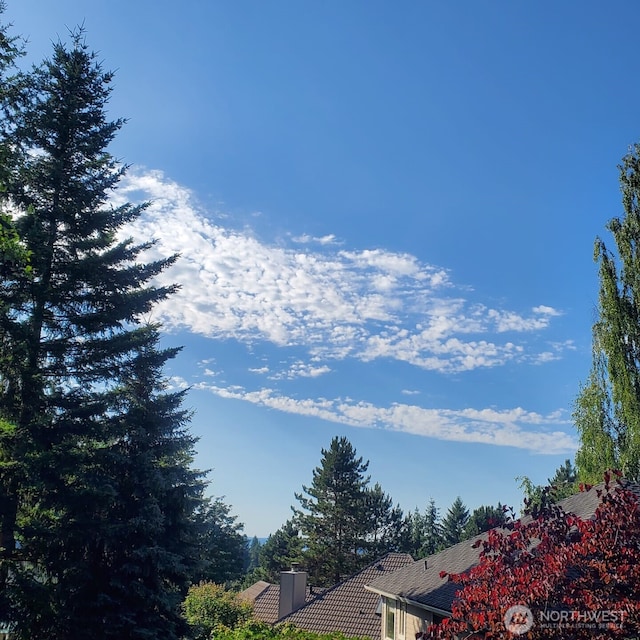 13923 SE 79th Dr, Newcastle, WA 98059 - view of mountain feature