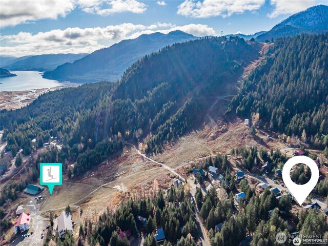 230 Innsbruck Dr, Snoqualmie Pass, WA 98068 - photo 8