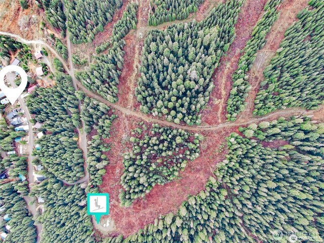 230 Innsbruck Dr, Snoqualmie Pass, WA 98068 - photo 10
