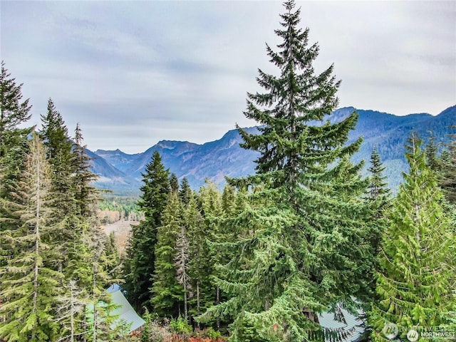 230 Innsbruck Dr, Snoqualmie Pass, WA 98068 - photo 12