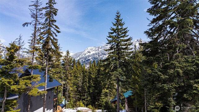 230 Innsbruck Dr, Snoqualmie Pass, WA 98068 - photo 2