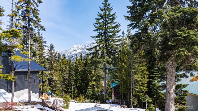 230 Innsbruck Dr, Snoqualmie Pass, WA 98068 - photo 3