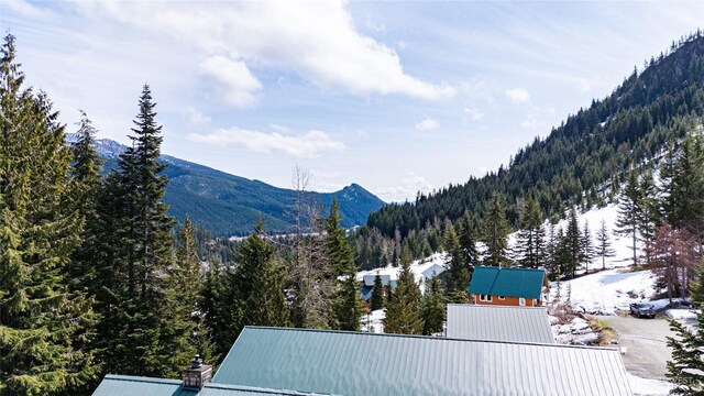 230 Innsbruck Dr, Snoqualmie Pass, WA 98068 - photo 6