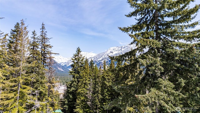 230 Innsbruck Dr, Snoqualmie Pass, WA 98068 - photo 11