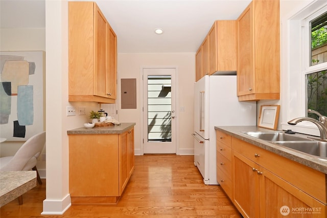 kitchen featuring a sink, light wood finished floors, freestanding refrigerator, baseboards, and electric panel