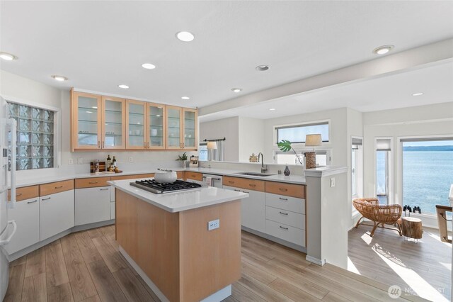 kitchen with light wood finished floors, a kitchen island, appliances with stainless steel finishes, and a sink