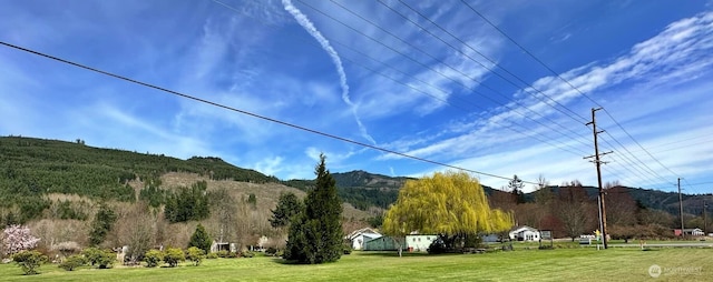 107 Martin Rd, Glenoma, WA 98336 - property view of mountains
