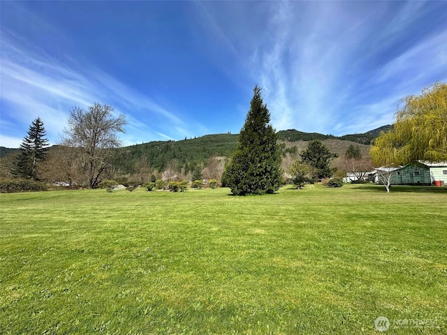 107 Martin Rd, Glenoma, WA 98336 - view of yard with a mountain view