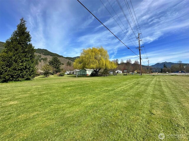 107 Martin Rd, Glenoma, WA 98336 - view of yard with a mountain view