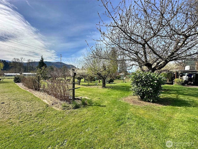 107 Martin Rd, Glenoma, WA 98336 - view of yard with a mountain view
