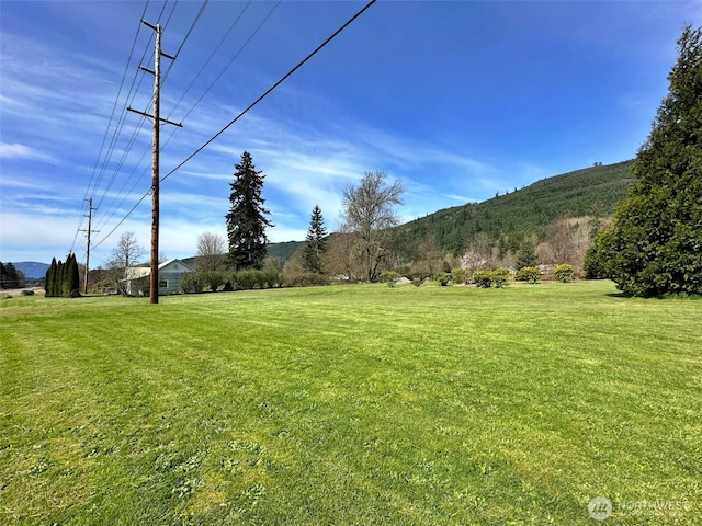 107 Martin Rd, Glenoma, WA 98336 - view of yard featuring a mountain view