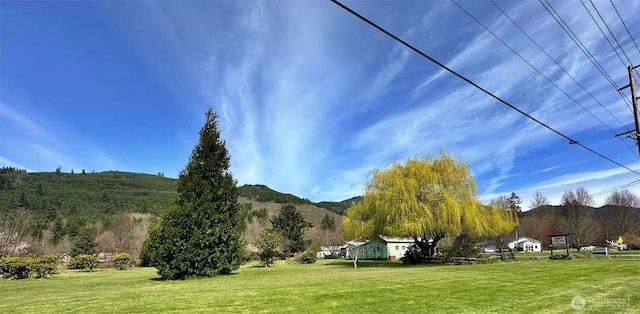107 Martin Rd, Glenoma, WA 98336 - exterior space with a mountain view