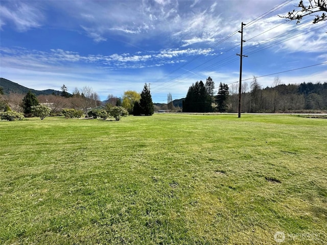 107 Martin Rd, Glenoma, WA 98336 - view of yard