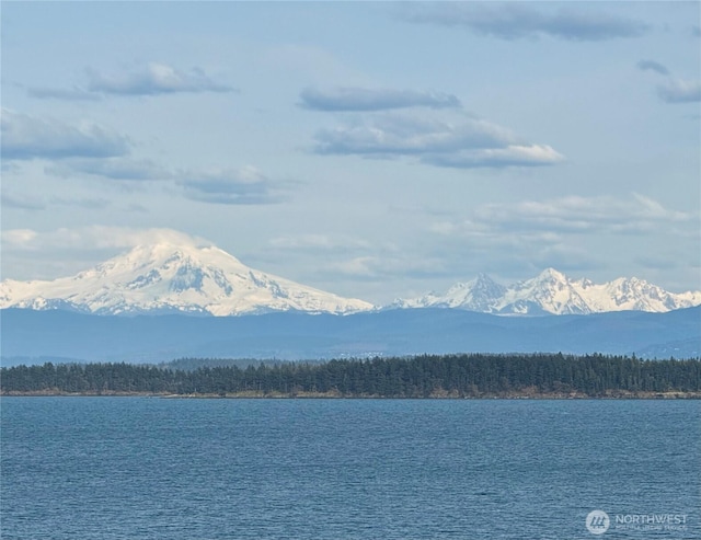 property view of water with a wooded view and a mountain view