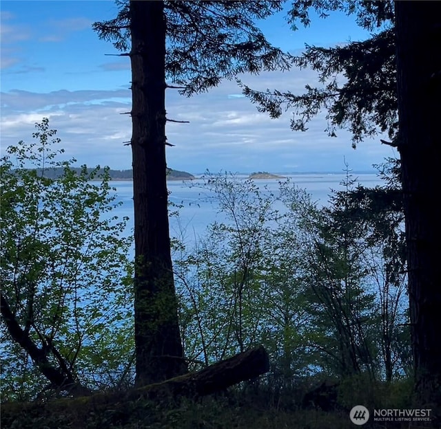 property view of water