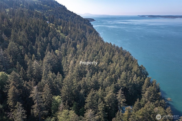 birds eye view of property with a water view and a wooded view
