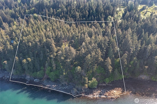 bird's eye view with a water view and a wooded view