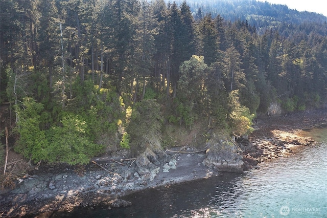 view of local wilderness featuring a view of trees