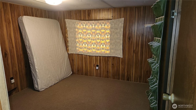 8458 Shintaffer Rd, Blaine, WA 98230 - empty room with carpet flooring and wooden walls