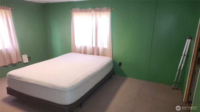 8458 Shintaffer Rd, Blaine, WA 98230 - bedroom with carpet