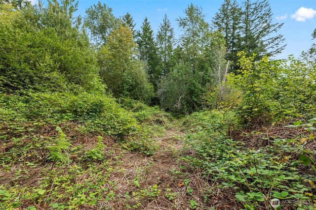18 184th Avenue Ct NW, Lakebay, WA 98349 - photo 7