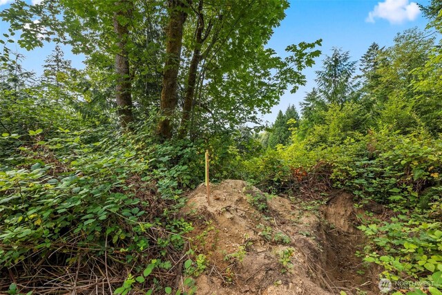 18 184th Avenue Ct NW, Lakebay, WA 98349 - photo 9