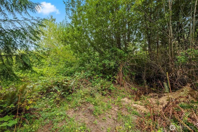 18 184th Avenue Ct NW, Lakebay, WA 98349 - photo 10