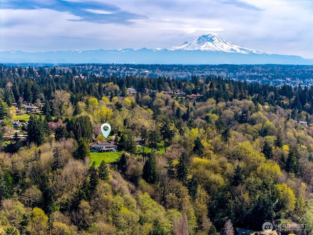 bird's eye view with a mountain view and a forest view