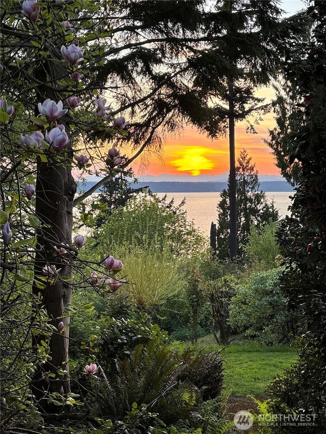 water view