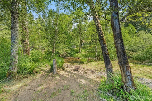 112 Mountain View Dr N, Ashford, WA 98304 - view of local wilderness