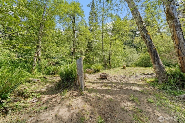 112 Mountain View Dr N, Ashford, WA 98304 - view of local wilderness with a view of trees