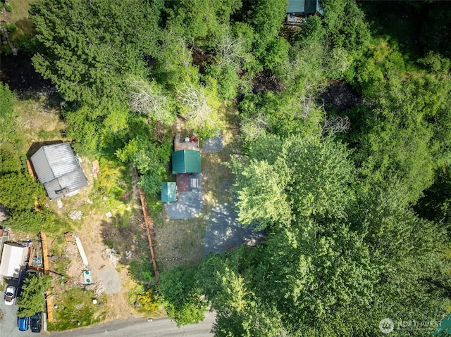 112 Mountain View Dr N, Ashford, WA 98304 - birds eye view of property