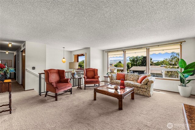 carpeted living room with a textured ceiling
