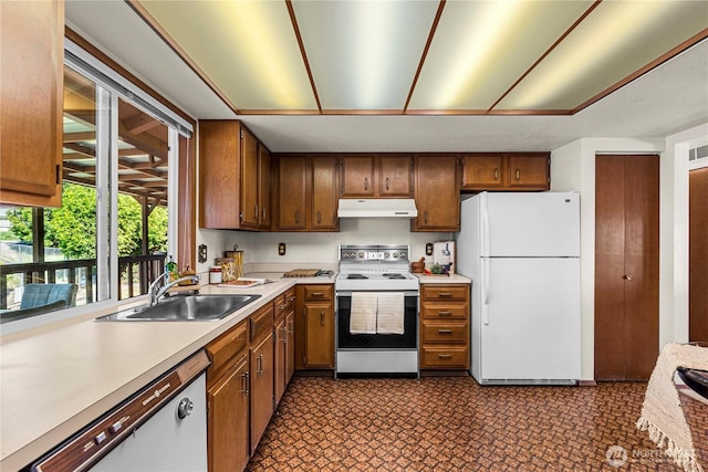 kitchen featuring white appliances, under cabinet range hood, a sink, and light countertops