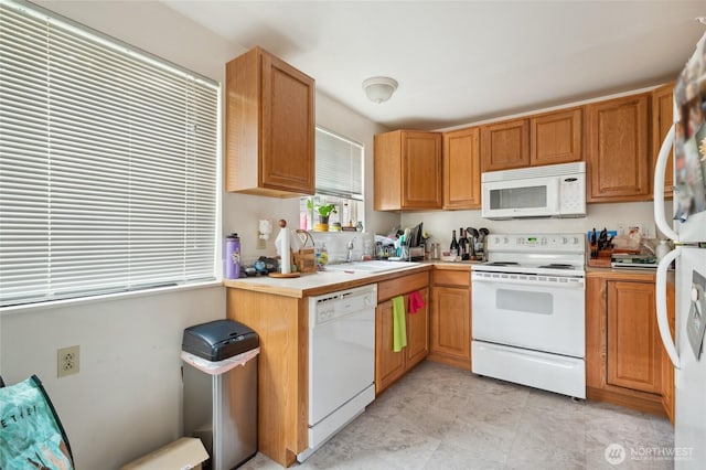 kitchen with a sink, light countertops, and white appliances
