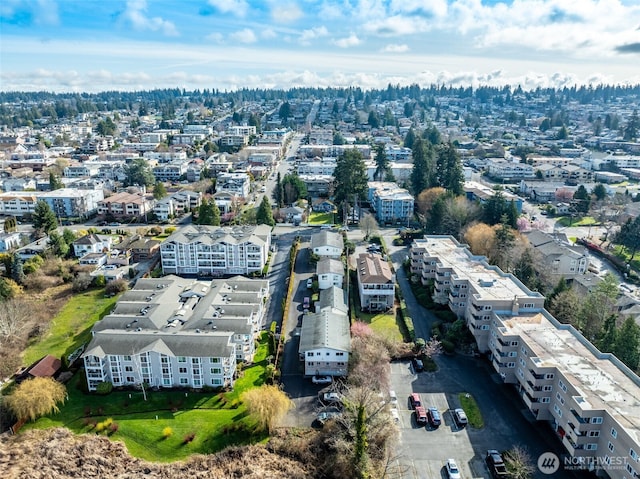 drone / aerial view