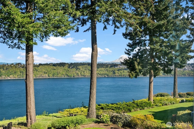 property view of water with a forest view