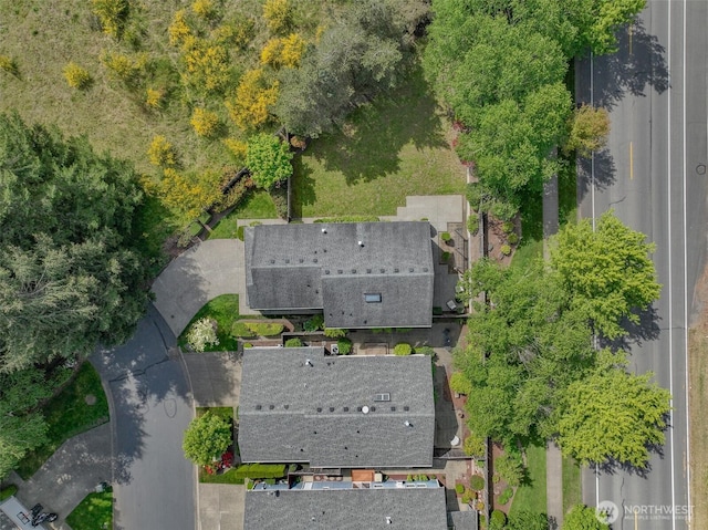 bird's eye view