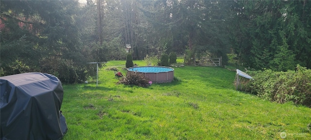 view of yard featuring a view of trees
