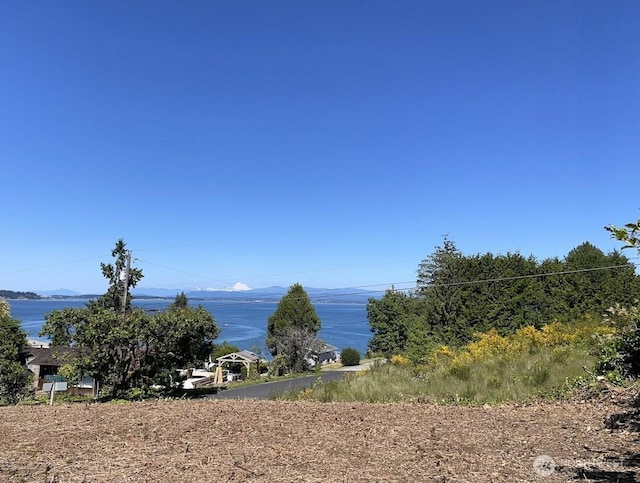 1481 SE Camano Dr, Camano Island, WA 98282 - photo 1