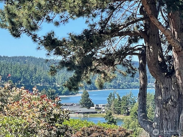 1481 SE Camano Dr, Camano Island, WA 98282 - photo 8