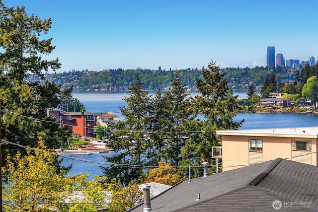 10047 Main St Unit 413, Bellevue, WA 98004 - water view