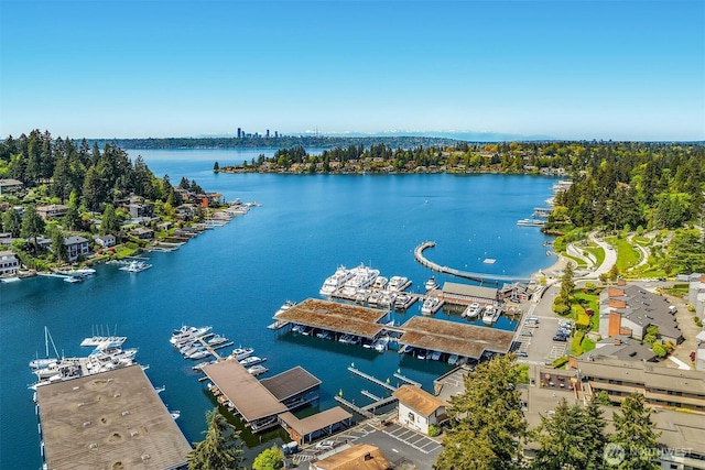 10047 Main St Unit 413, Bellevue, WA 98004 - bird's eye view of a nearby body of water and numerous boat docks