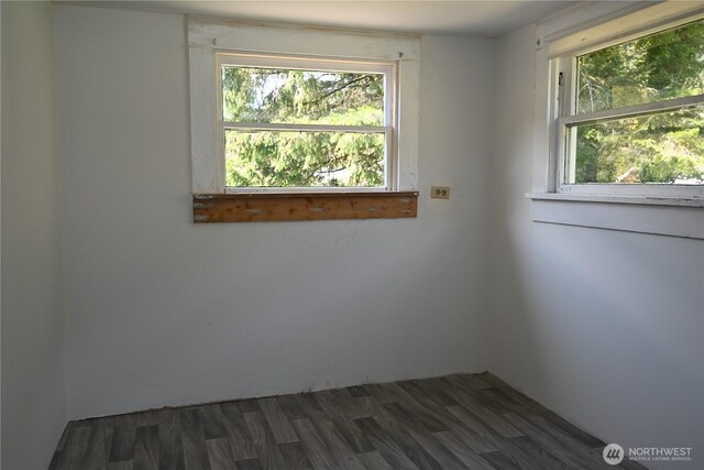 202 Crescent St, Index, WA 98256 - photo 24