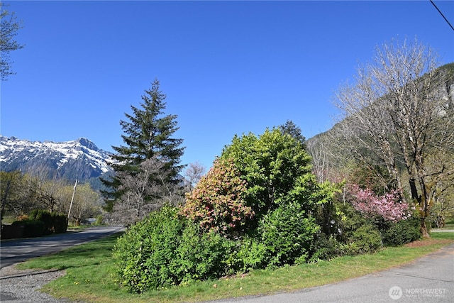 202 Crescent St, Index, WA 98256 - photo 27