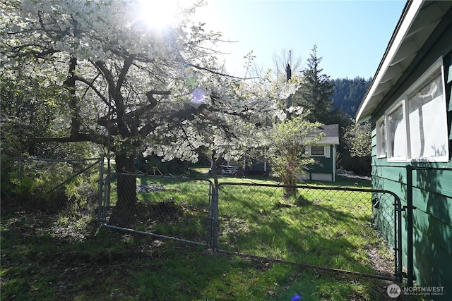 202 Crescent St, Index, WA 98256 - photo 28