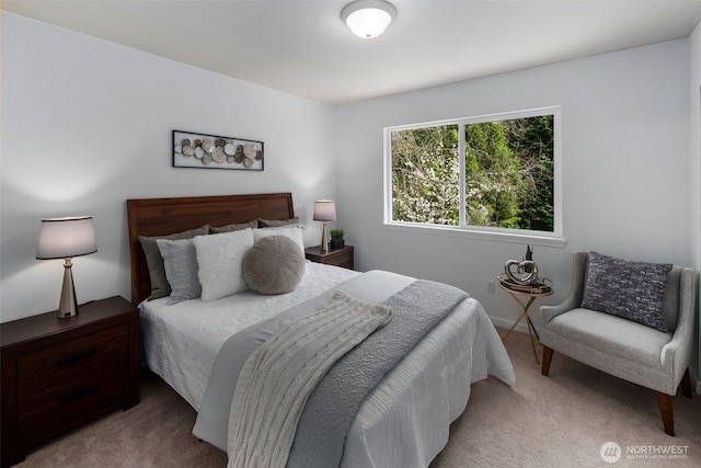 bedroom featuring carpet floors