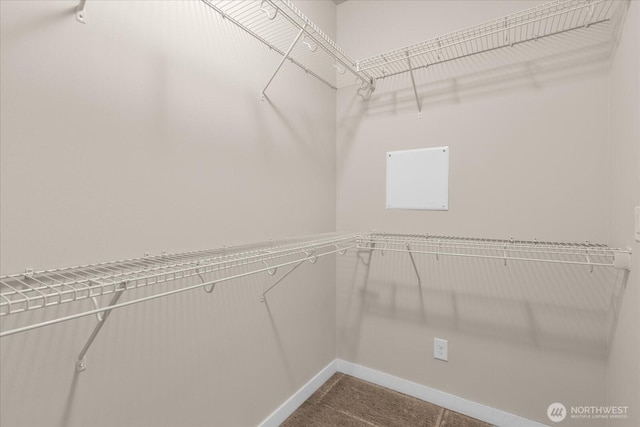 walk in closet with carpet flooring